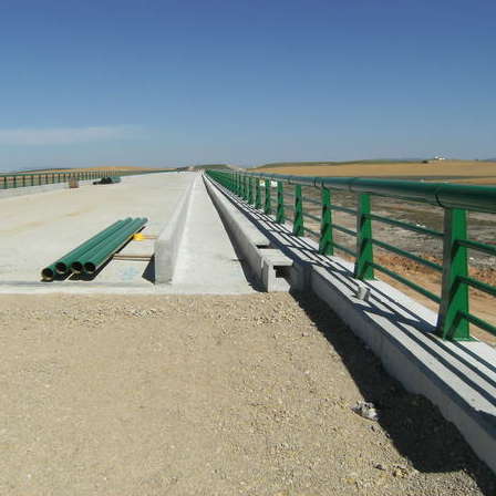 Ave tramo de Sevilla-Marchena 12 km. J.A.